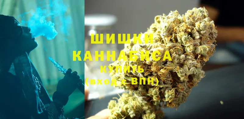 Каннабис OG Kush  Добрянка 